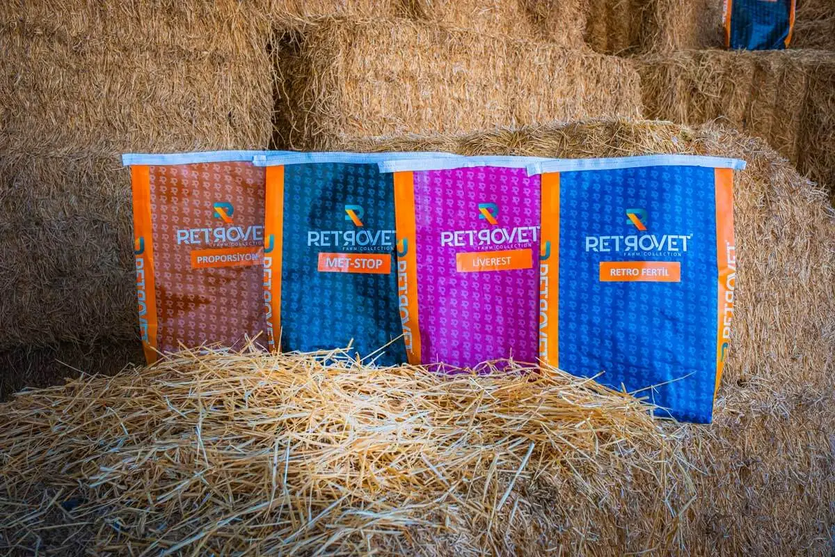 Doğadan gücünü al, Retrovet ile büyü